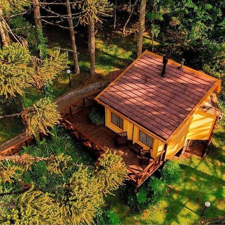 Villa Flor Ecoresort Nova Petropolis Bagian luar foto
